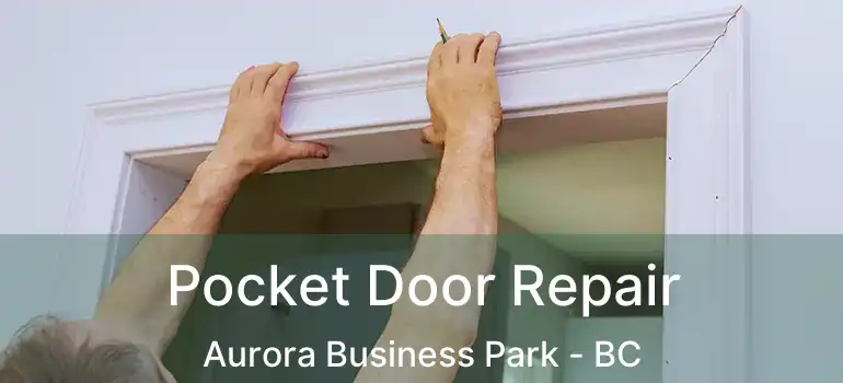 Pocket Door Repair Aurora Business Park - BC