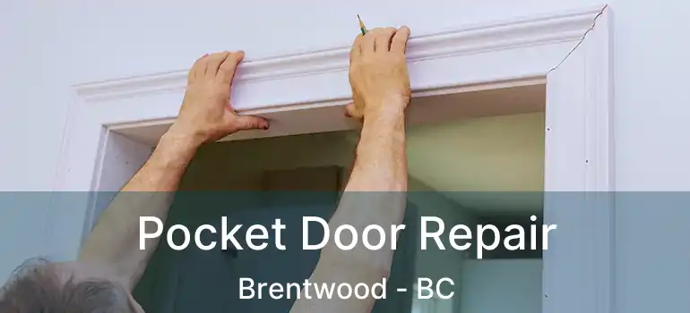 Pocket Door Repair Brentwood - BC