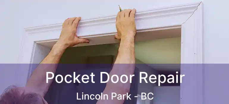 Pocket Door Repair Lincoln Park - BC