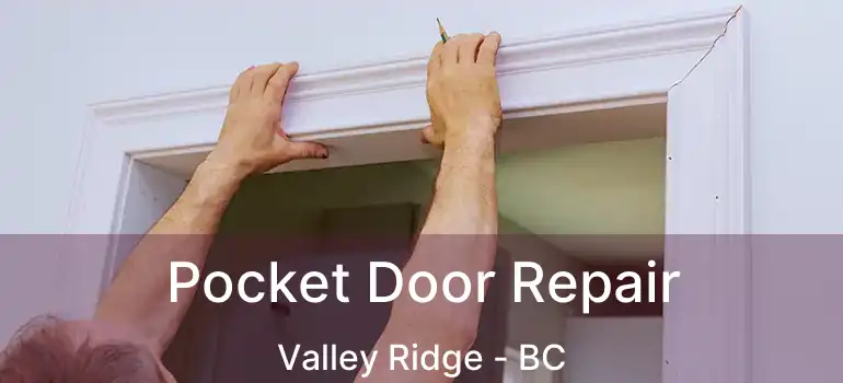 Pocket Door Repair Valley Ridge - BC