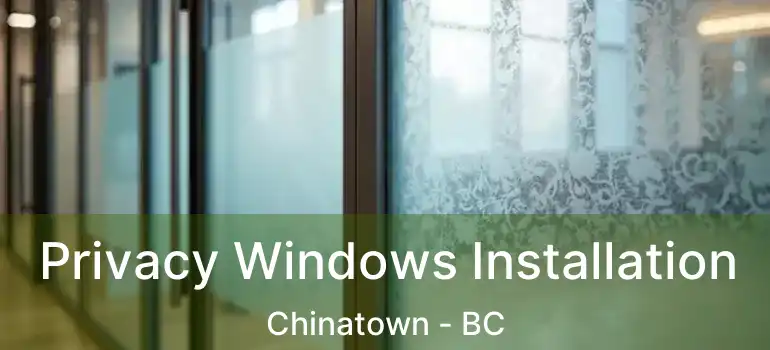 Privacy Windows Installation Chinatown - BC