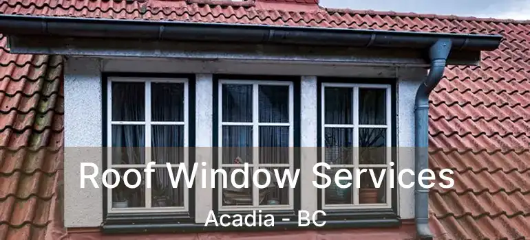 Roof Window Services Acadia - BC