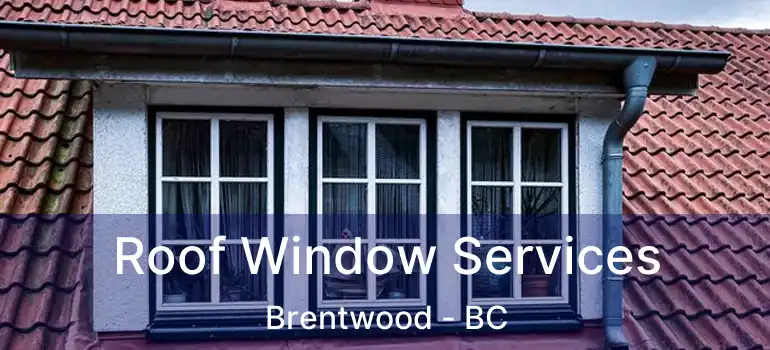 Roof Window Services Brentwood - BC