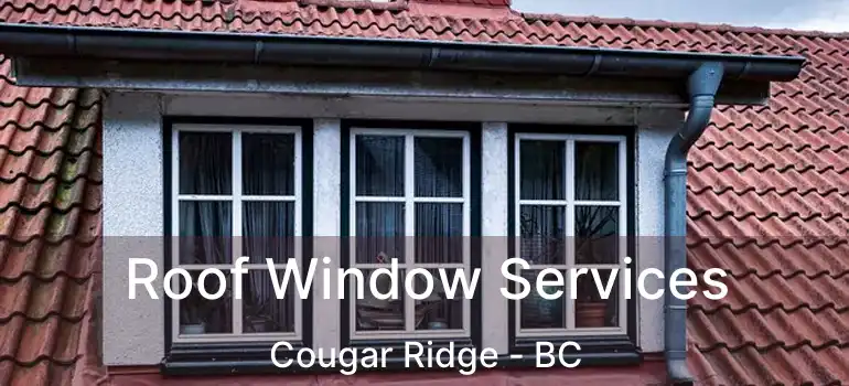 Roof Window Services Cougar Ridge - BC