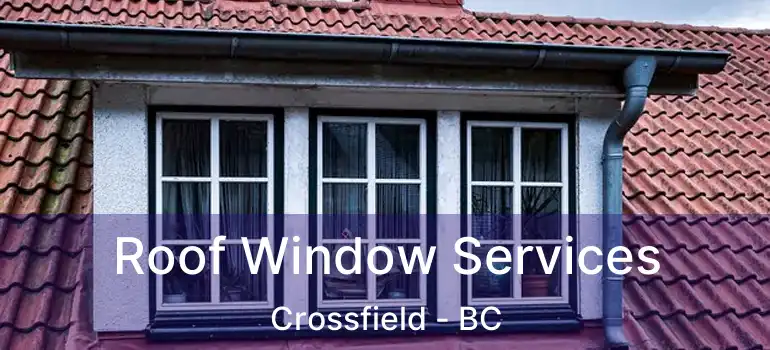 Roof Window Services Crossfield - BC