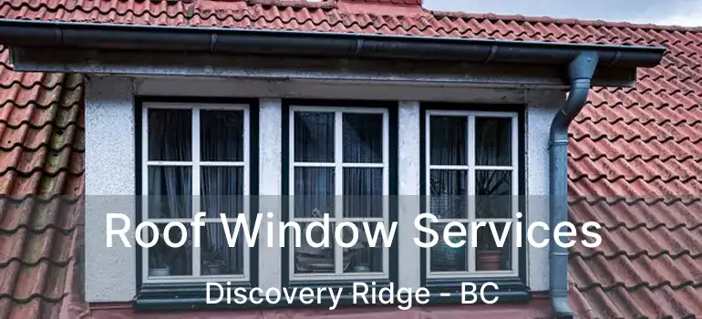 Roof Window Services Discovery Ridge - BC