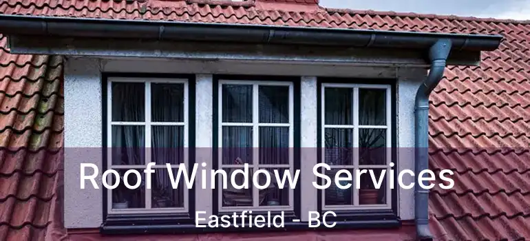 Roof Window Services Eastfield - BC