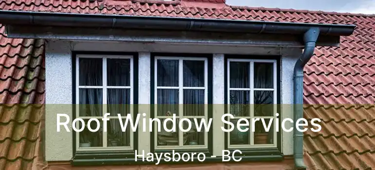 Roof Window Services Haysboro - BC