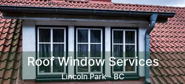 Roof Window Services Lincoln Park - BC