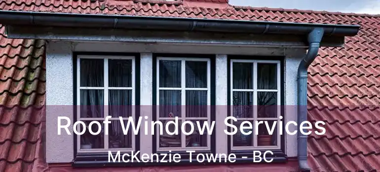 Roof Window Services McKenzie Towne - BC