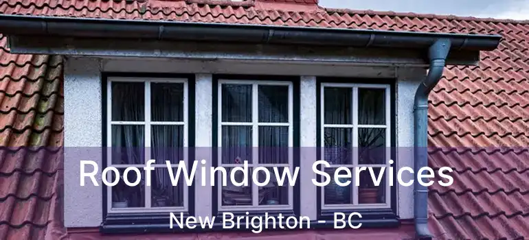 Roof Window Services New Brighton - BC