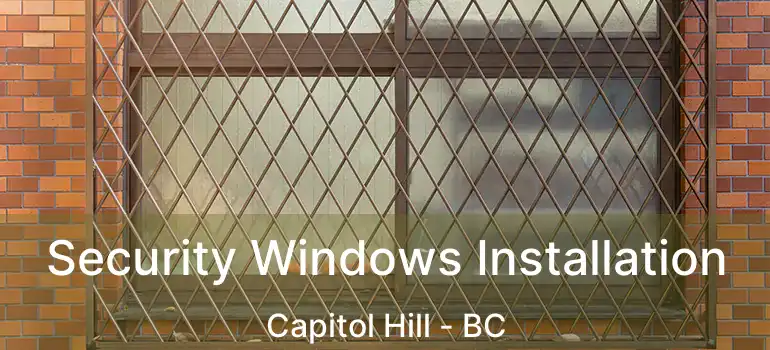 Security Windows Installation Capitol Hill - BC