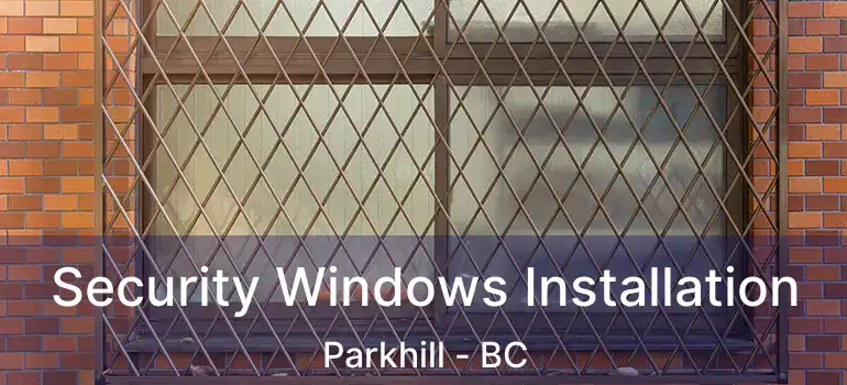 Security Windows Installation Parkhill - BC