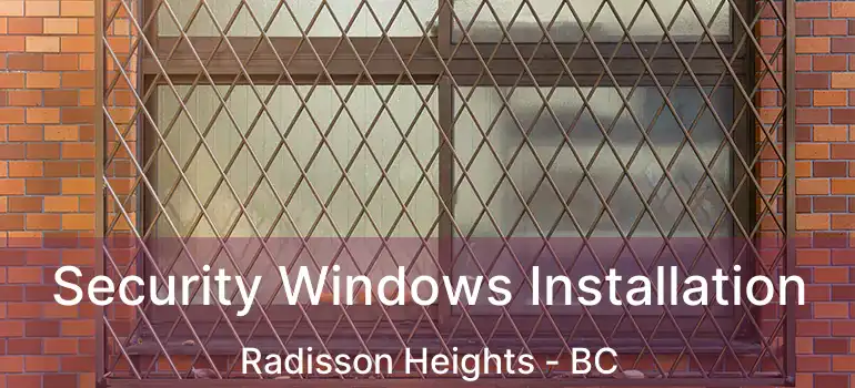Security Windows Installation Radisson Heights - BC