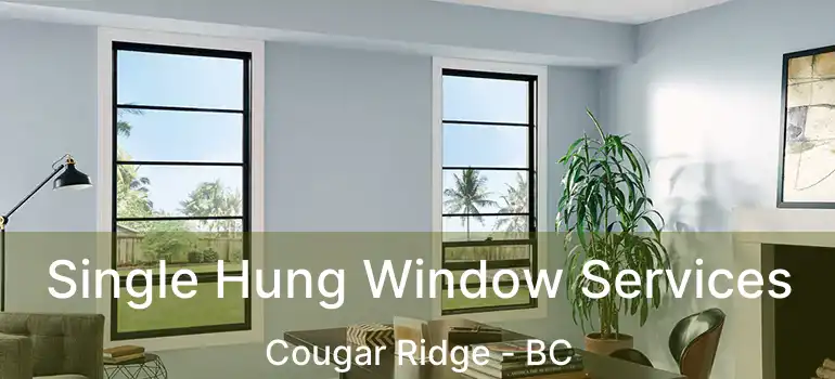 Single Hung Window Services Cougar Ridge - BC