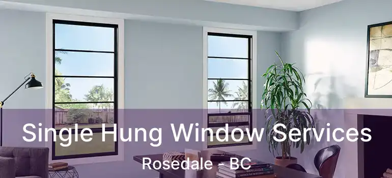 Single Hung Window Services Rosedale - BC