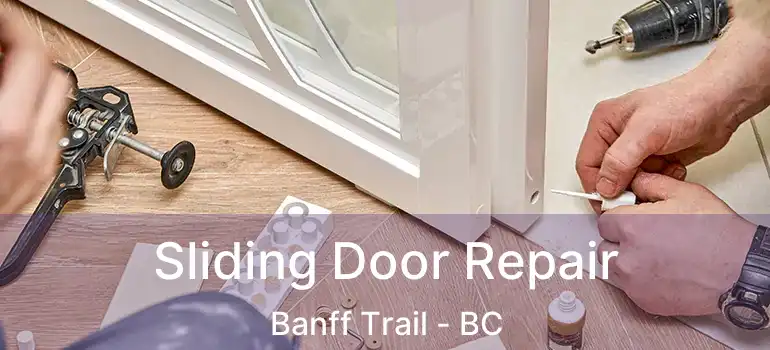 Sliding Door Repair Banff Trail - BC