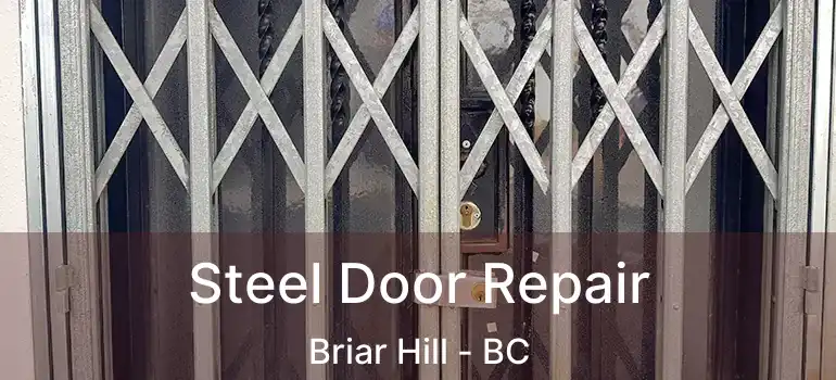 Steel Door Repair Briar Hill - BC