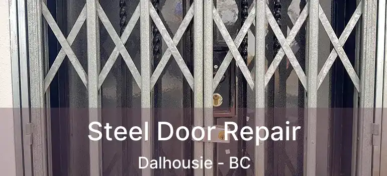 Steel Door Repair Dalhousie - BC
