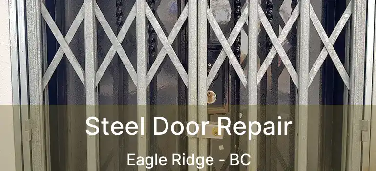 Steel Door Repair Eagle Ridge - BC