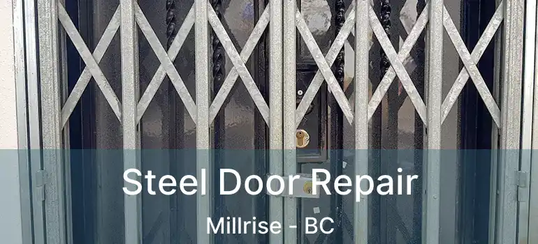 Steel Door Repair Millrise - BC