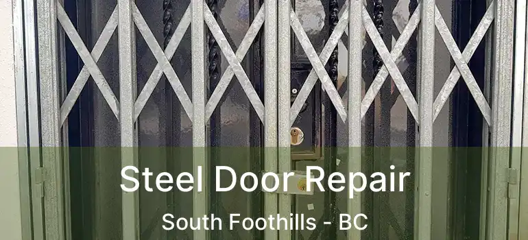 Steel Door Repair South Foothills - BC