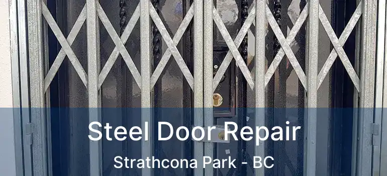 Steel Door Repair Strathcona Park - BC
