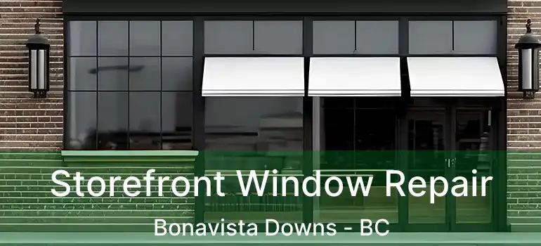 Storefront Window Repair Bonavista Downs - BC