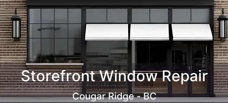 Storefront Window Repair Cougar Ridge - BC