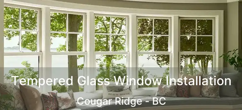 Tempered Glass Window Installation Cougar Ridge - BC