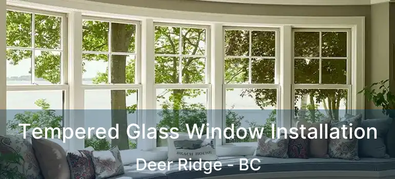 Tempered Glass Window Installation Deer Ridge - BC