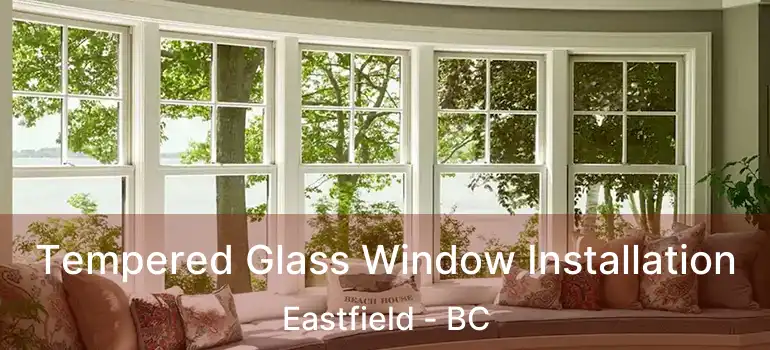 Tempered Glass Window Installation Eastfield - BC