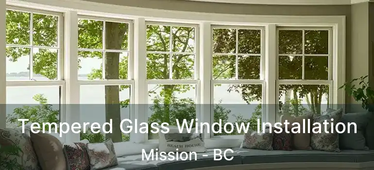 Tempered Glass Window Installation Mission - BC