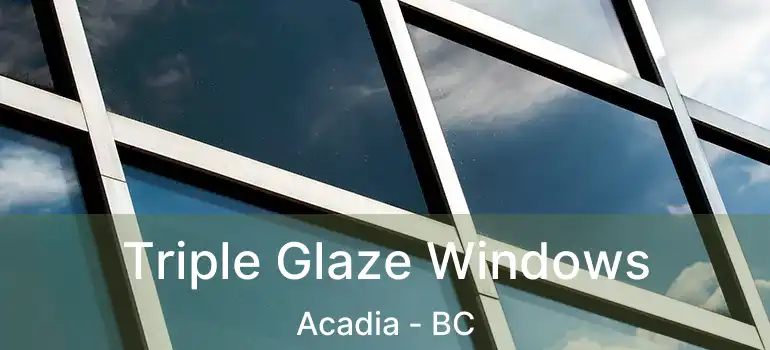Triple Glaze Windows Acadia - BC