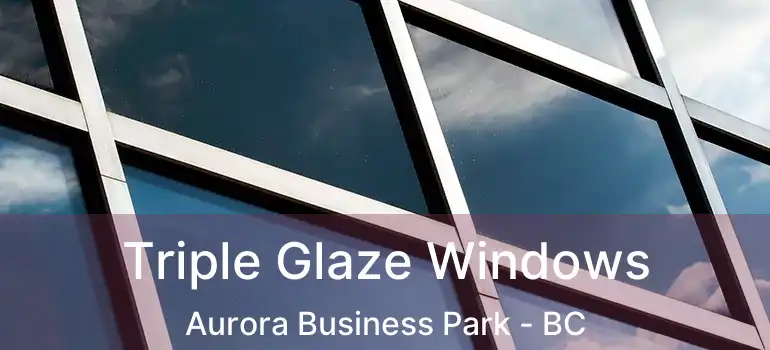 Triple Glaze Windows Aurora Business Park - BC