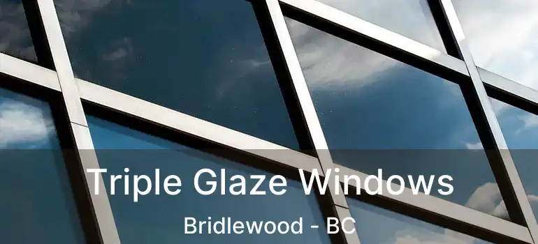Triple Glaze Windows Bridlewood - BC