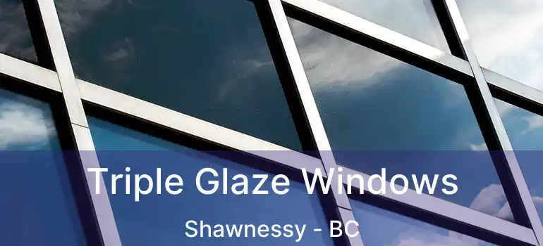 Triple Glaze Windows Shawnessy - BC