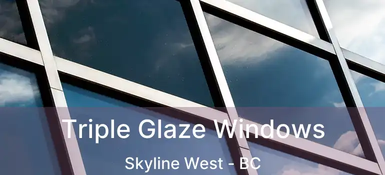 Triple Glaze Windows Skyline West - BC
