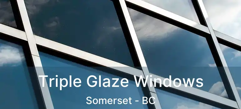 Triple Glaze Windows Somerset - BC