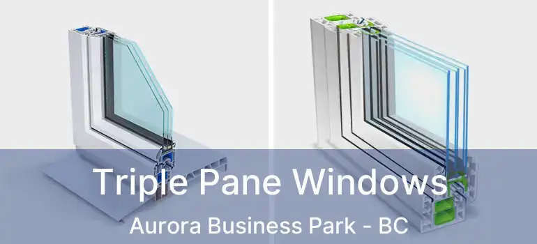 Triple Pane Windows Aurora Business Park - BC