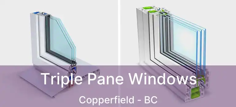 Triple Pane Windows Copperfield - BC