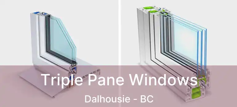 Triple Pane Windows Dalhousie - BC