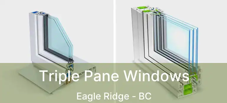 Triple Pane Windows Eagle Ridge - BC