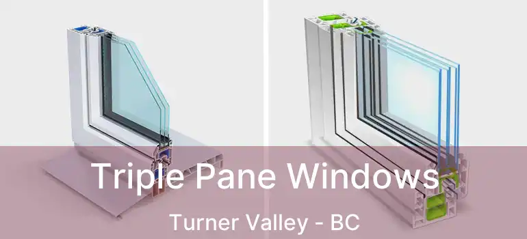 Triple Pane Windows Turner Valley - BC