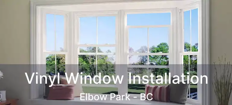 Vinyl Window Installation Elbow Park - BC