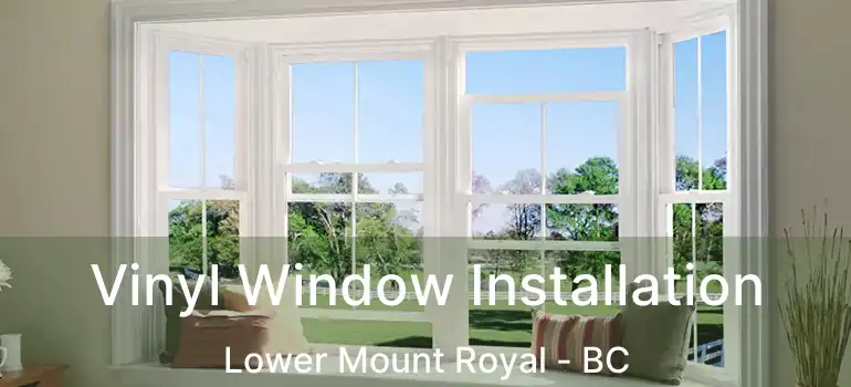 Vinyl Window Installation Lower Mount Royal - BC