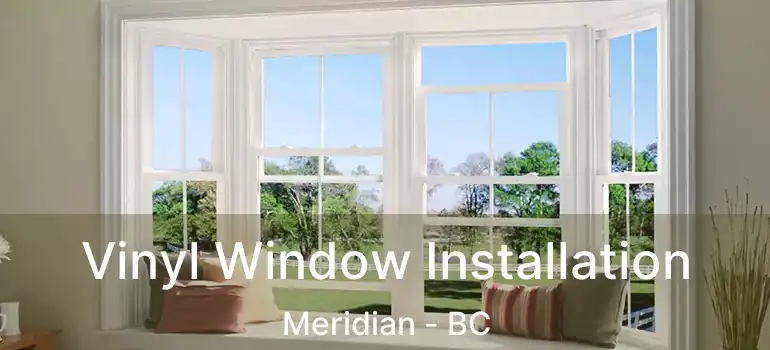 Vinyl Window Installation Meridian - BC