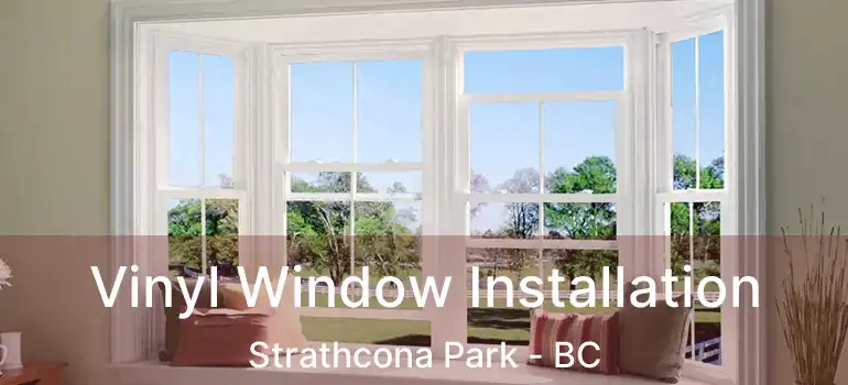 Vinyl Window Installation Strathcona Park - BC