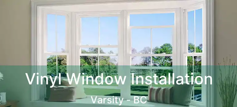 Vinyl Window Installation Varsity - BC