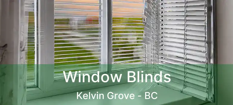 Window Blinds Kelvin Grove - BC